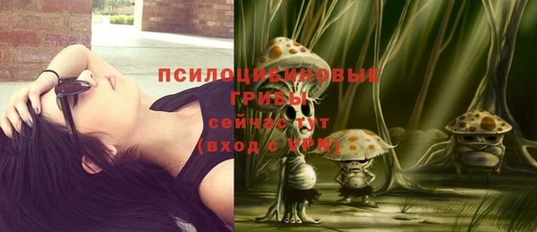 дживик Краснотурьинск